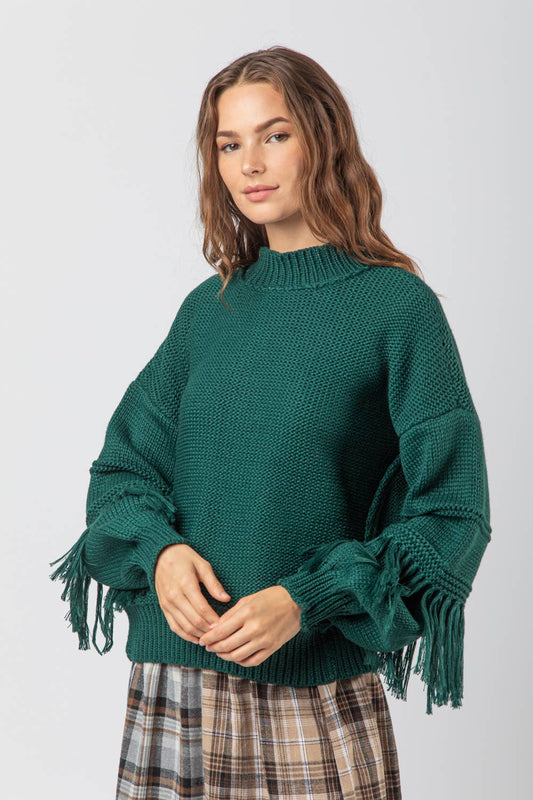 Fringe Sleeve Chunky Cozy Knit Sweater