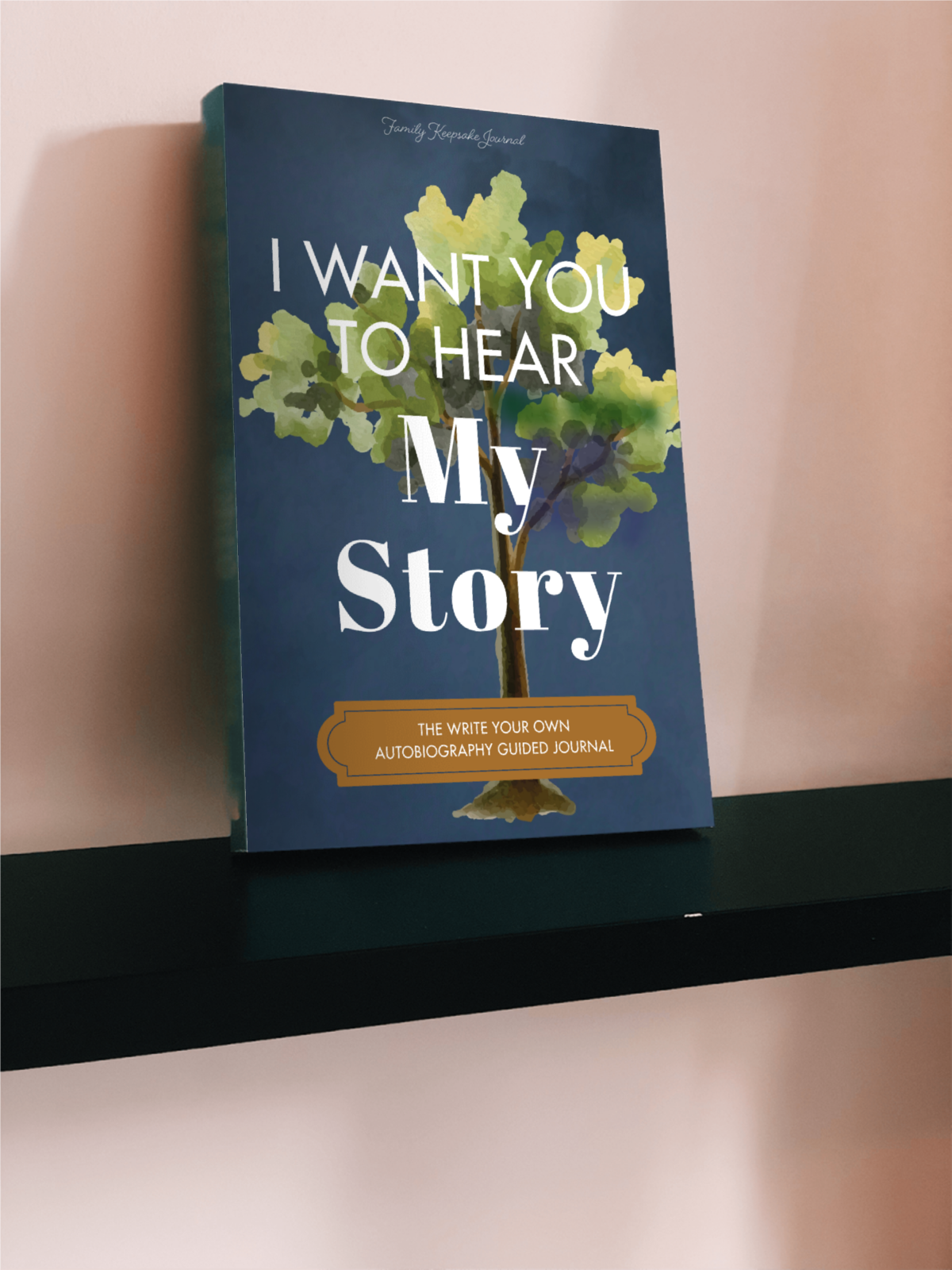 I Want You to Hear My Story: Guided Memory Journal