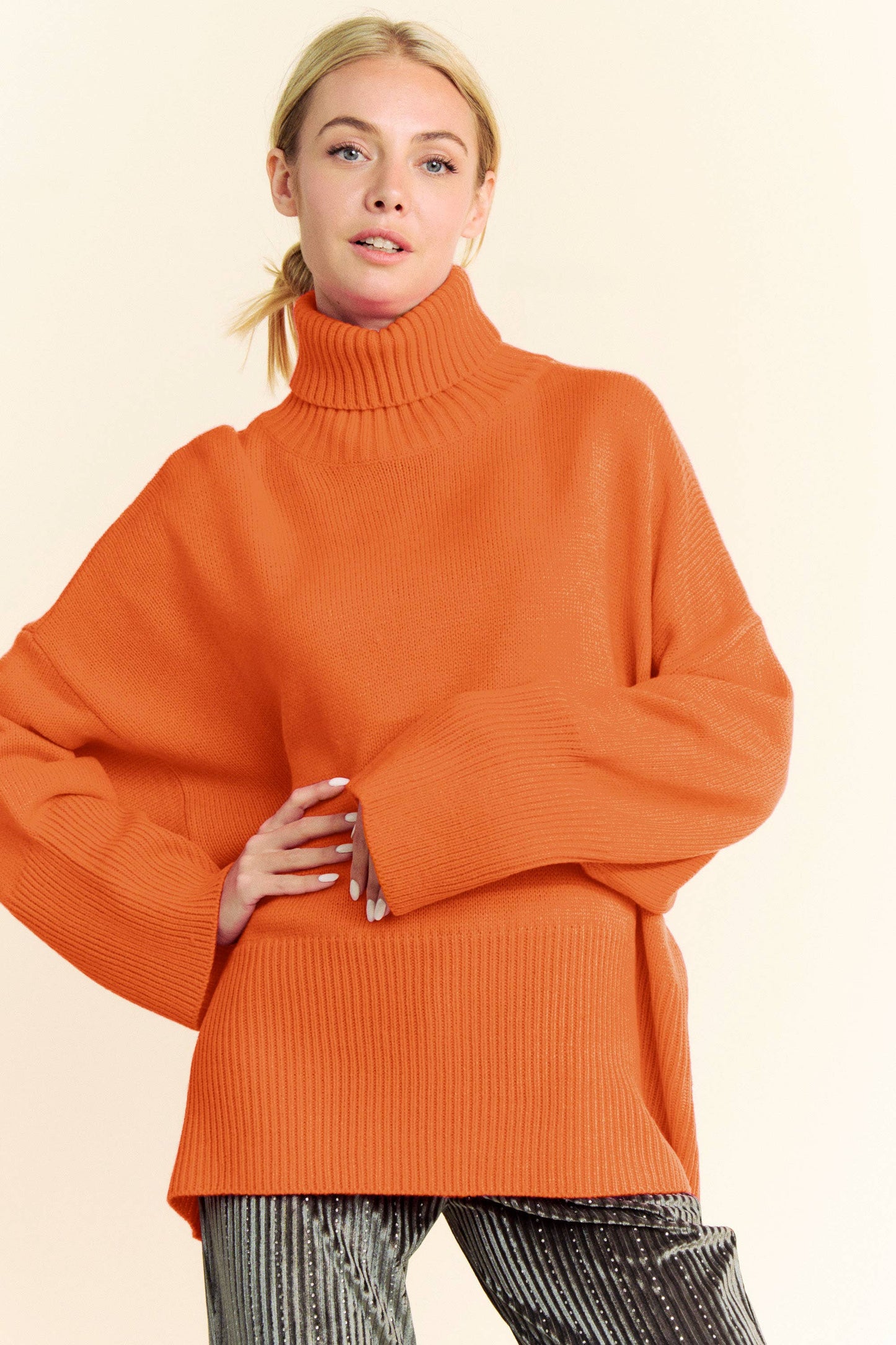 Turtle Neck Knit Sweater