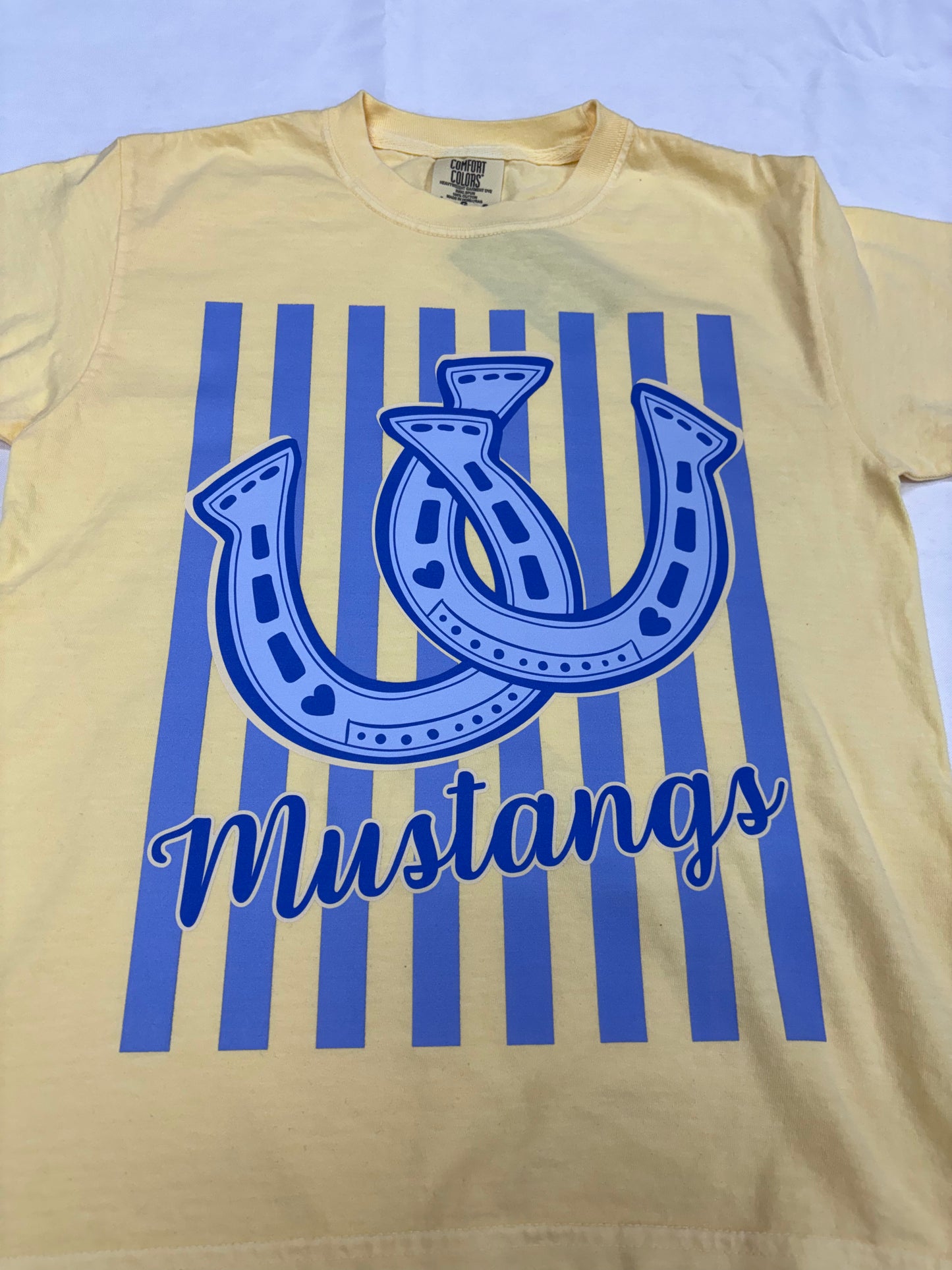 Horseshoe Mustang