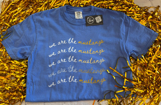 We are the Mustangs NTCO