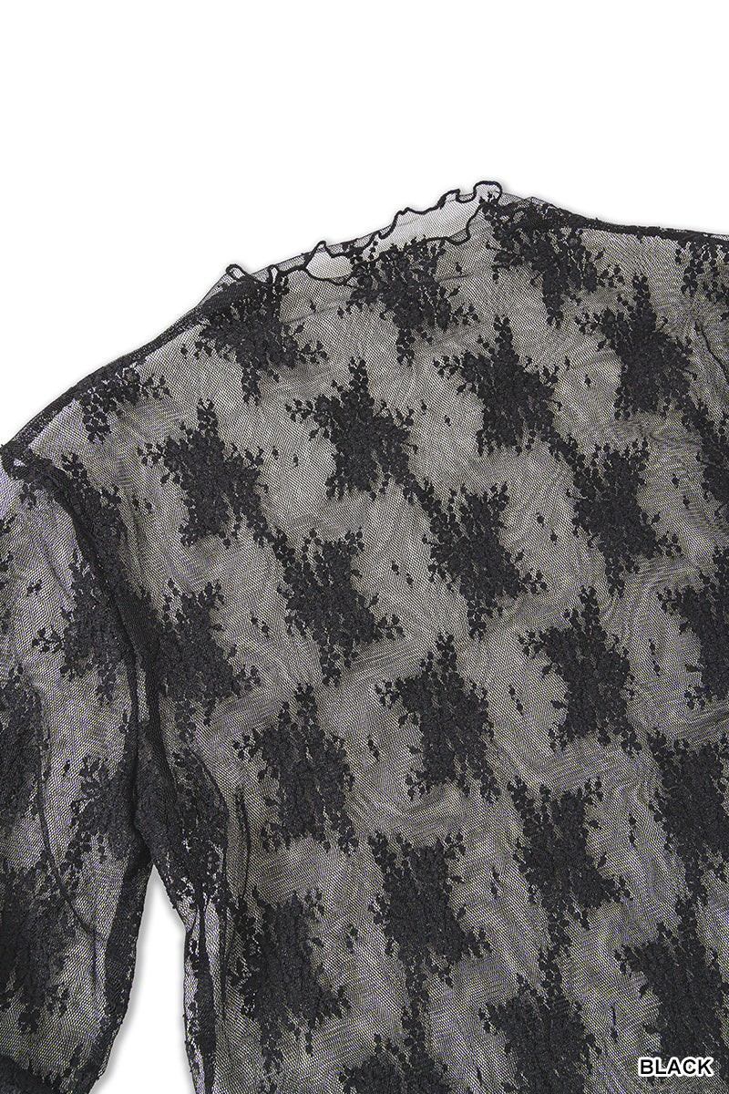 Lace Mesh Long Sleeve Top
