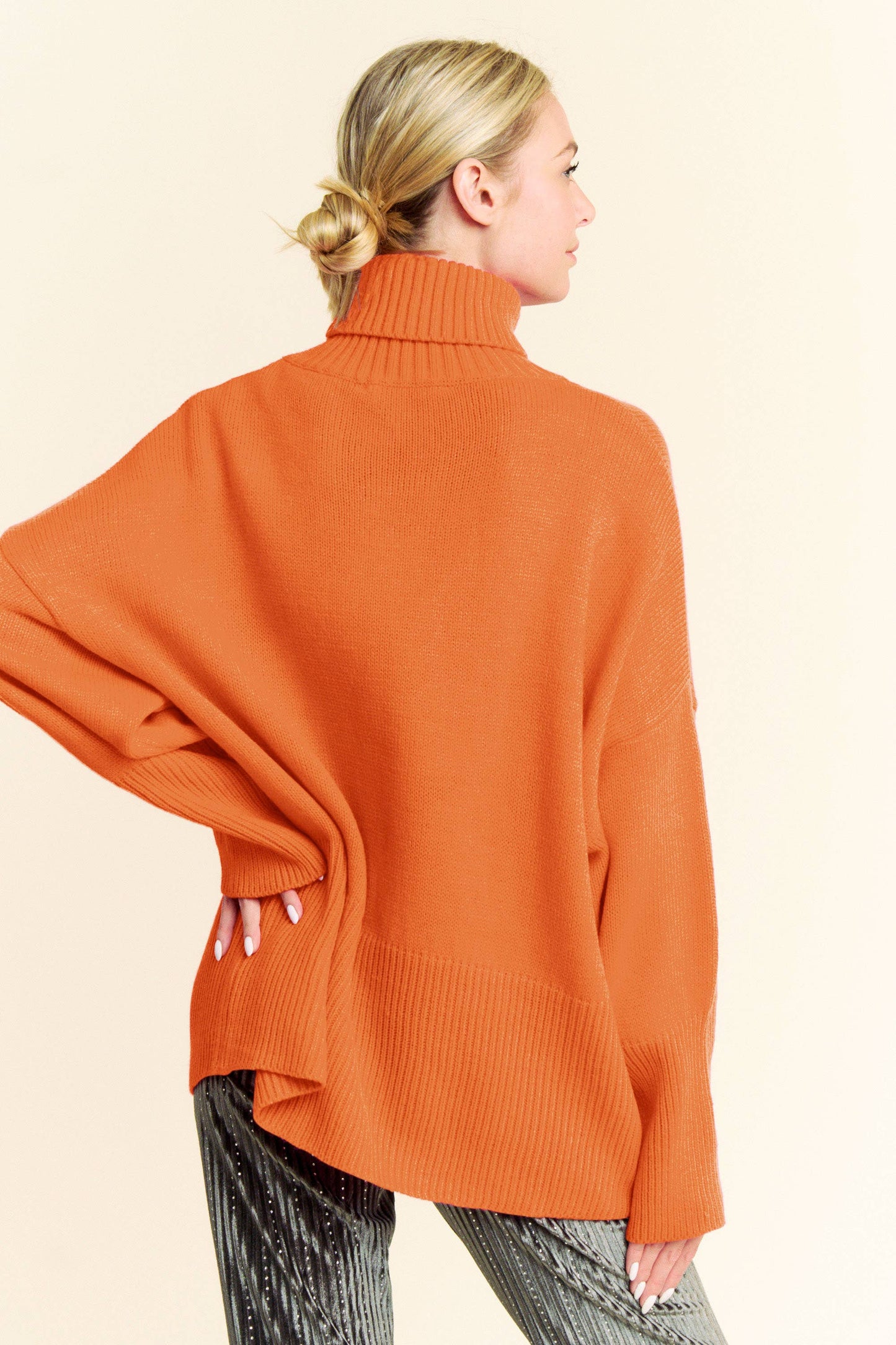 Turtle Neck Knit Sweater