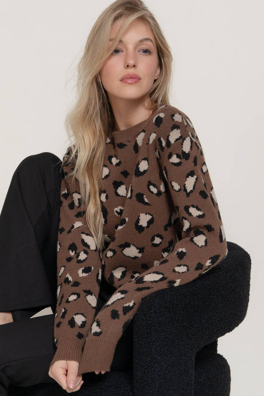 Animal Print Sweater Top